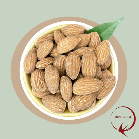 USA California Roasted Salted Almond 美国盐焗杏仁