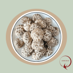 Premium Dried White Mushroom 精选白花菇