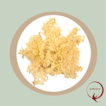 Tremella Snow Fungus 本草银耳